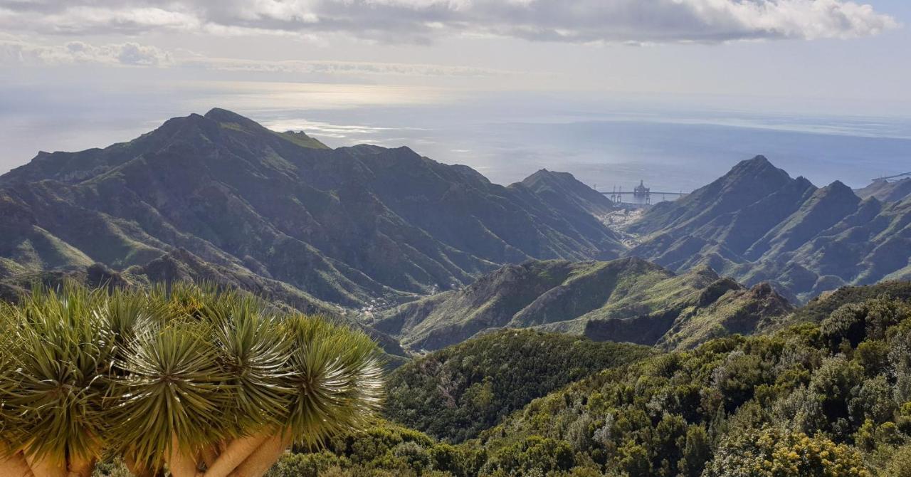 Santa Cruz De Tenerife Toscal ภายนอก รูปภาพ