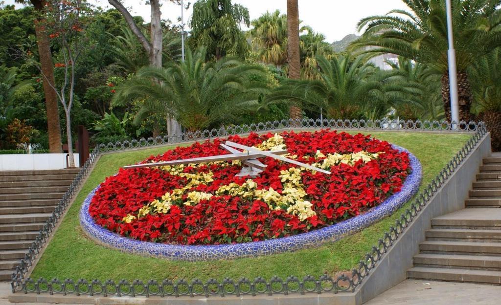 Santa Cruz De Tenerife Toscal ภายนอก รูปภาพ